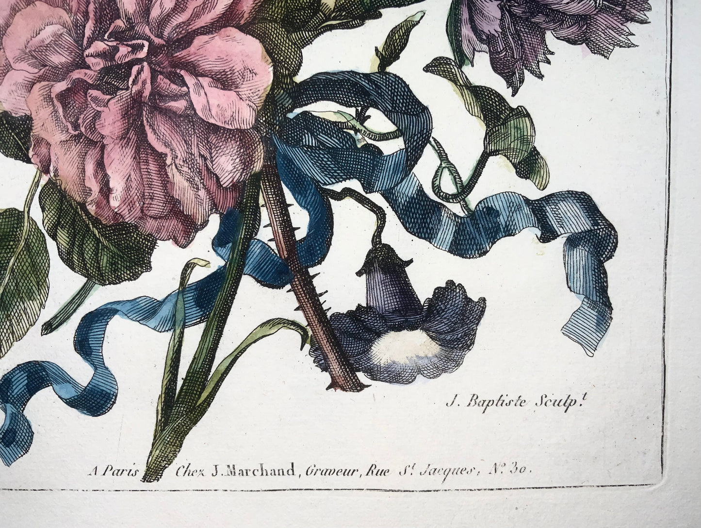 1780 Bouquet Floral, Jean-Baptiste Coste, roses, coloriées à la main, botanique