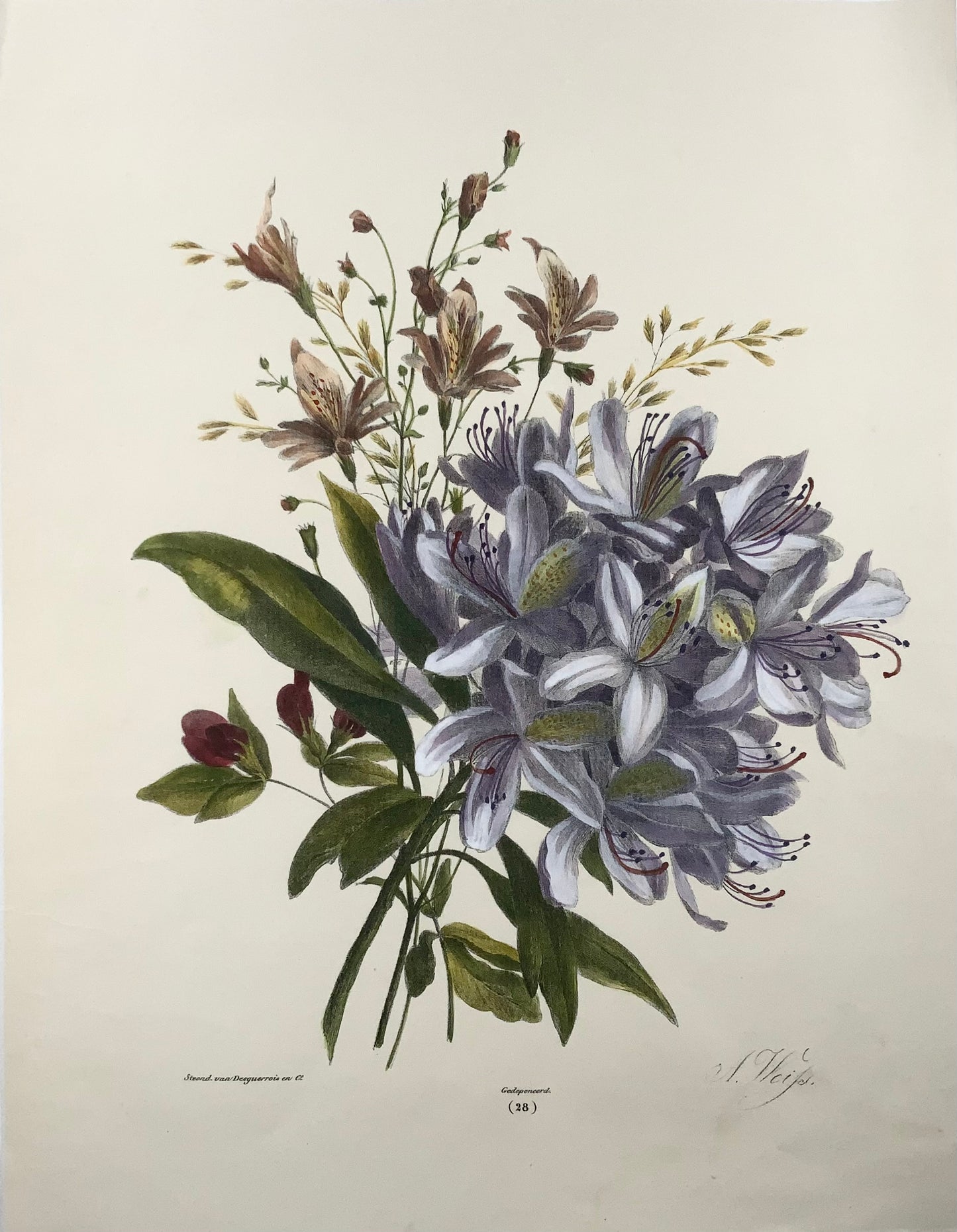 1836 Bouquet of flowers, botany, Weiss; Desguerrois, 35cm, original hand colour