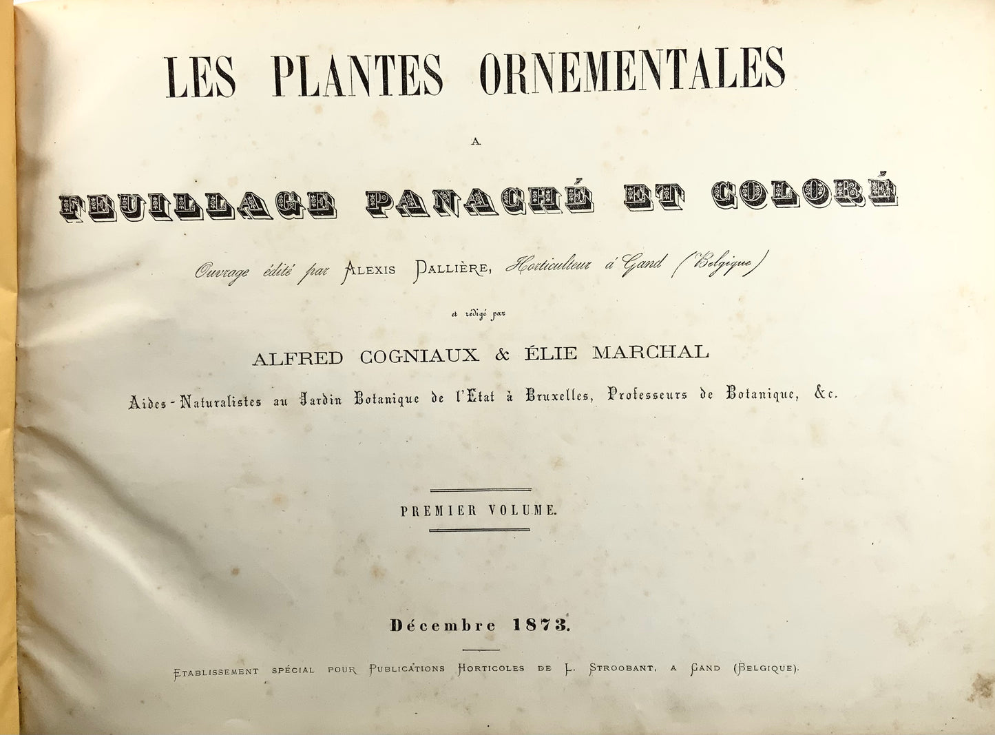 1873-74 Dallière, 2 volumes in-folio oblongs sur plantes panachées, 60 belles planches, édition unique botanique