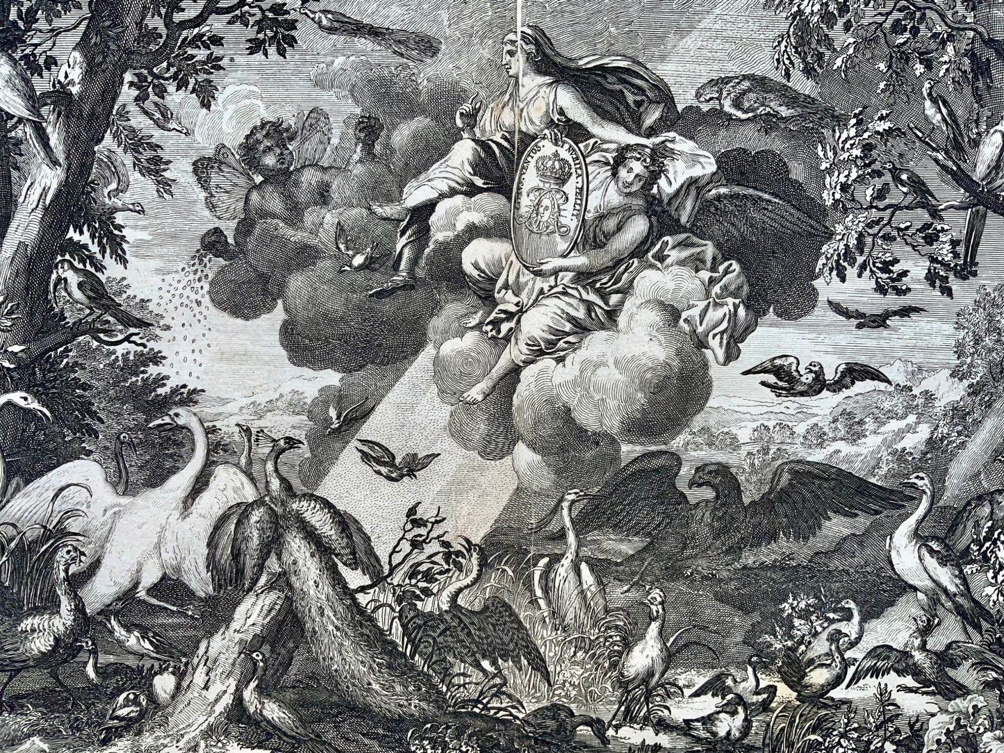 1679 Wind, double page allegorical tapestry engraving, Le Brun; Le Clerc, birds