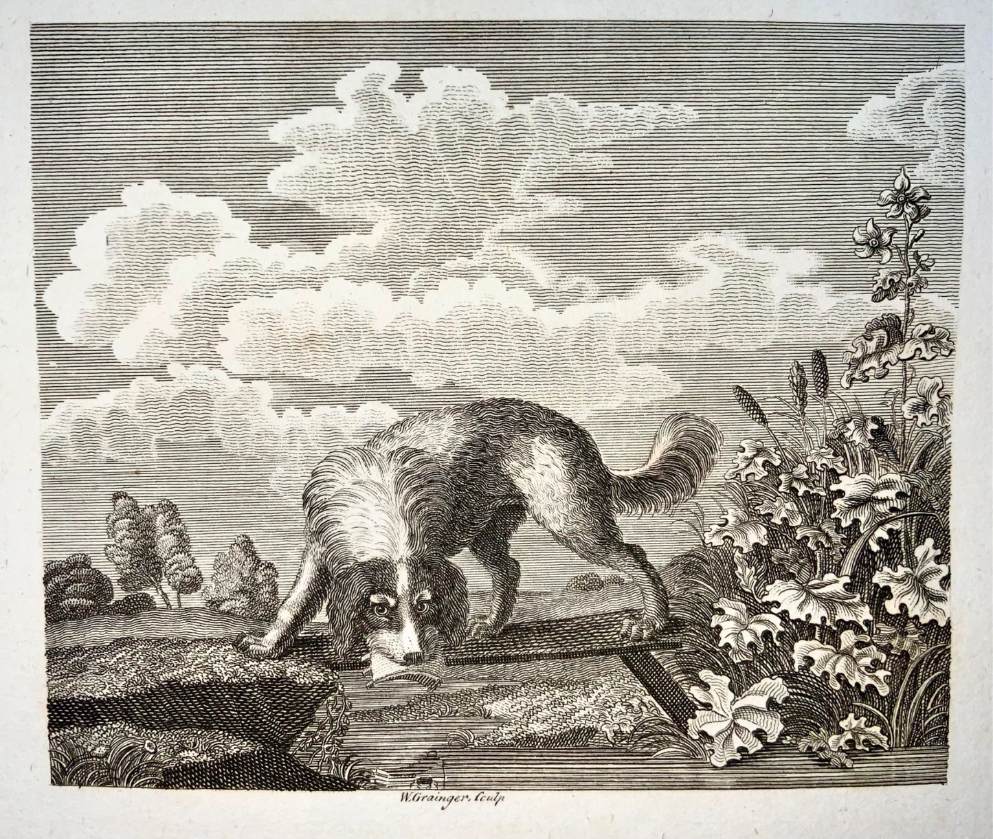 1793 The Dog & his Shadow, Grainger sc., Aesop fable, etching