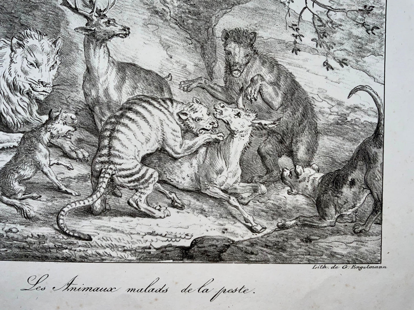 1818 ‘Incunabula of Lithography’ Carle Vernet, G. Engelmann, Bestiary, Lion