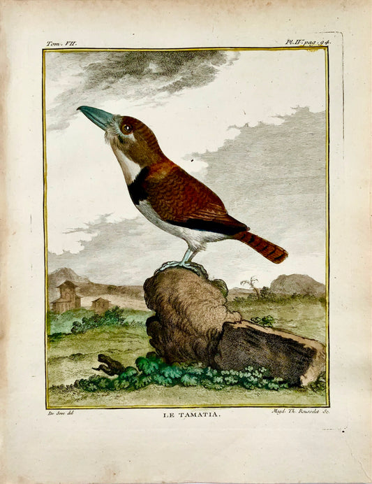 1779 de Seve - PUFFBIRD - Ornithologie - Gravure in-4 grande édition
