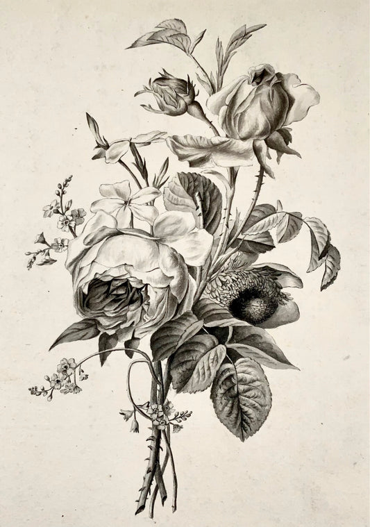 Jean-Baptiste Huet, le Jeune [(1772-1852) attrib.], Bouquet Fleurs à la plume et au lavis, fleurs et botanique