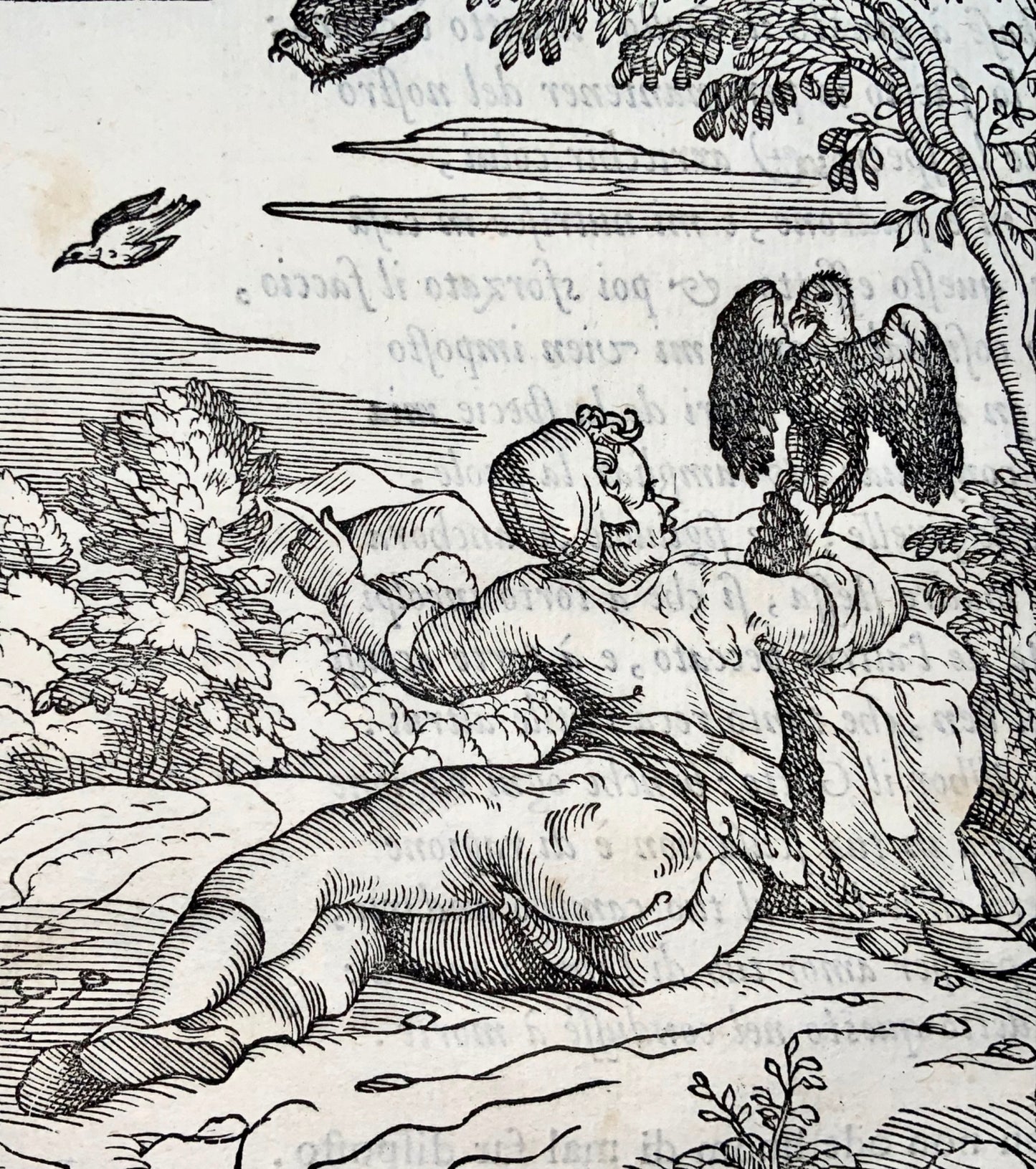 1570 Gio. M. Verdizzotti (b1525) Sparrowhawk & Pigeon, woodcut leaf, fables