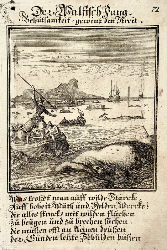 1711 Caspar Luyken, Chasse à la baleine, « Der Walfisch Fang », gravure sur cuivre, agriculture