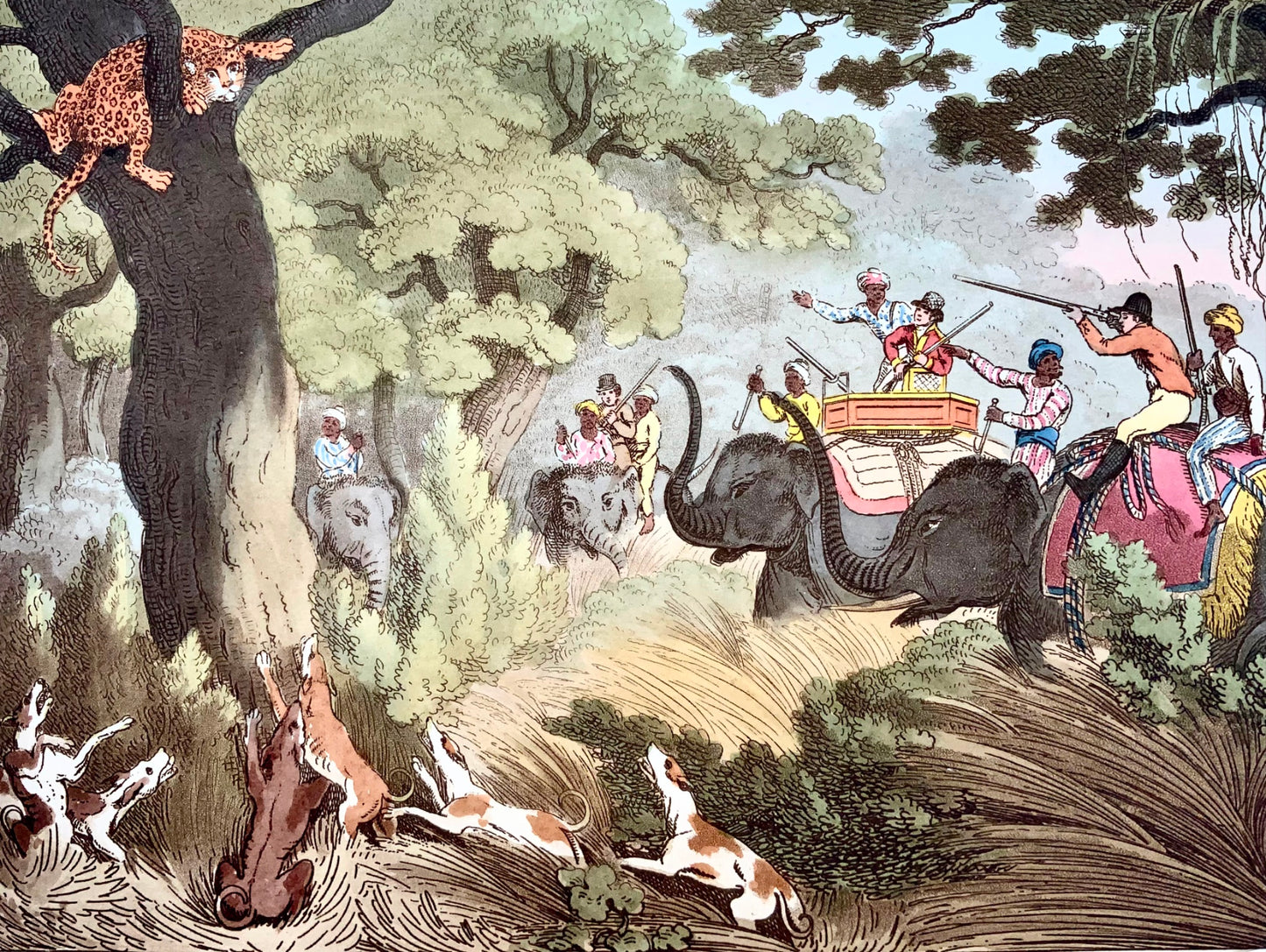 1807 ème. Williamson, The Tiger Hunt, aquatinte colorée à la main, sport, chasse