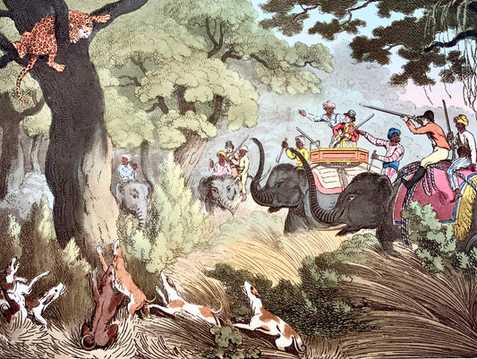 1807 ème. Williamson, The Tiger Hunt, aquatinte colorée à la main, sport, chasse