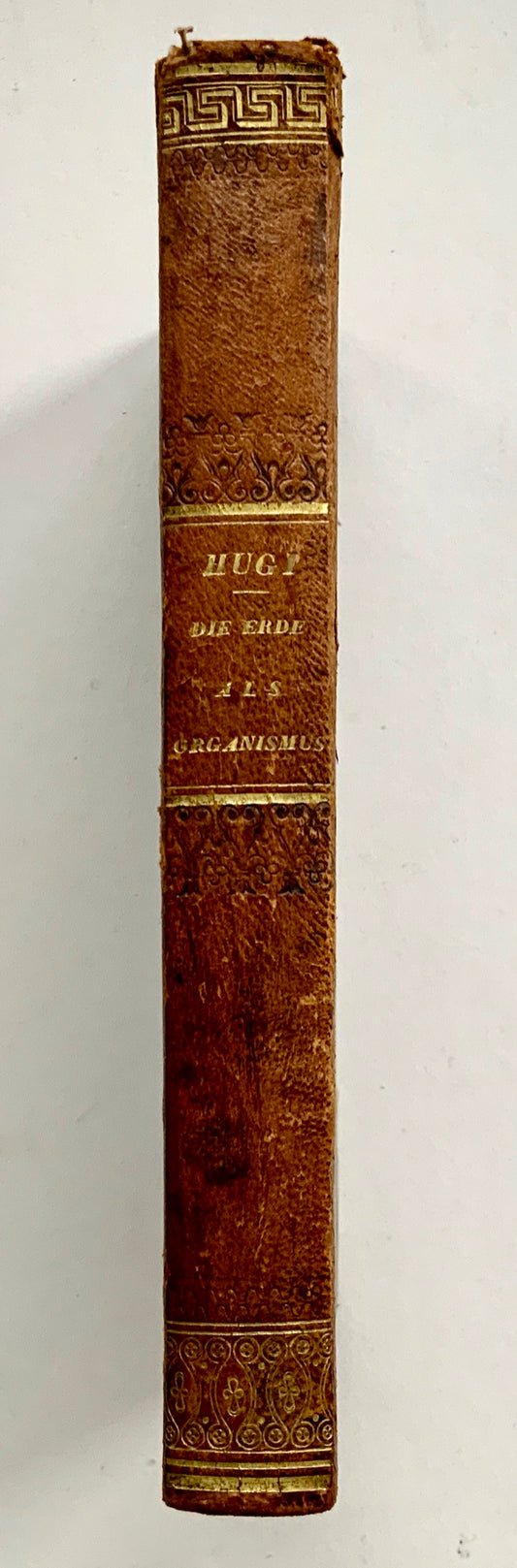 1841 Hugi, F.J. Grundzüge zu einer allgemeinen Naturansicht Widmungsex. - Book, Biology