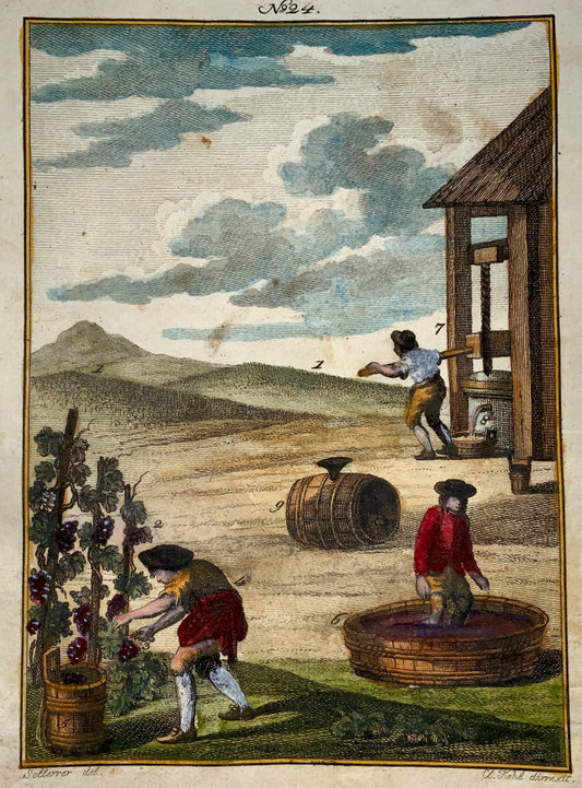 1790 VINTNER Wine Vineyard - Joh. Sollerer hand coloured engraving