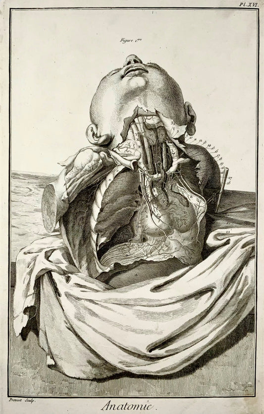 1777 Anatomy, after Haller, arteries of the thorax, tall folio