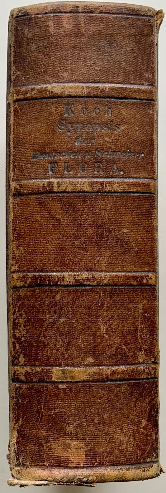 1846 Koch - Synopsis der Deutschen und Schweizer Flora - Botany - Book