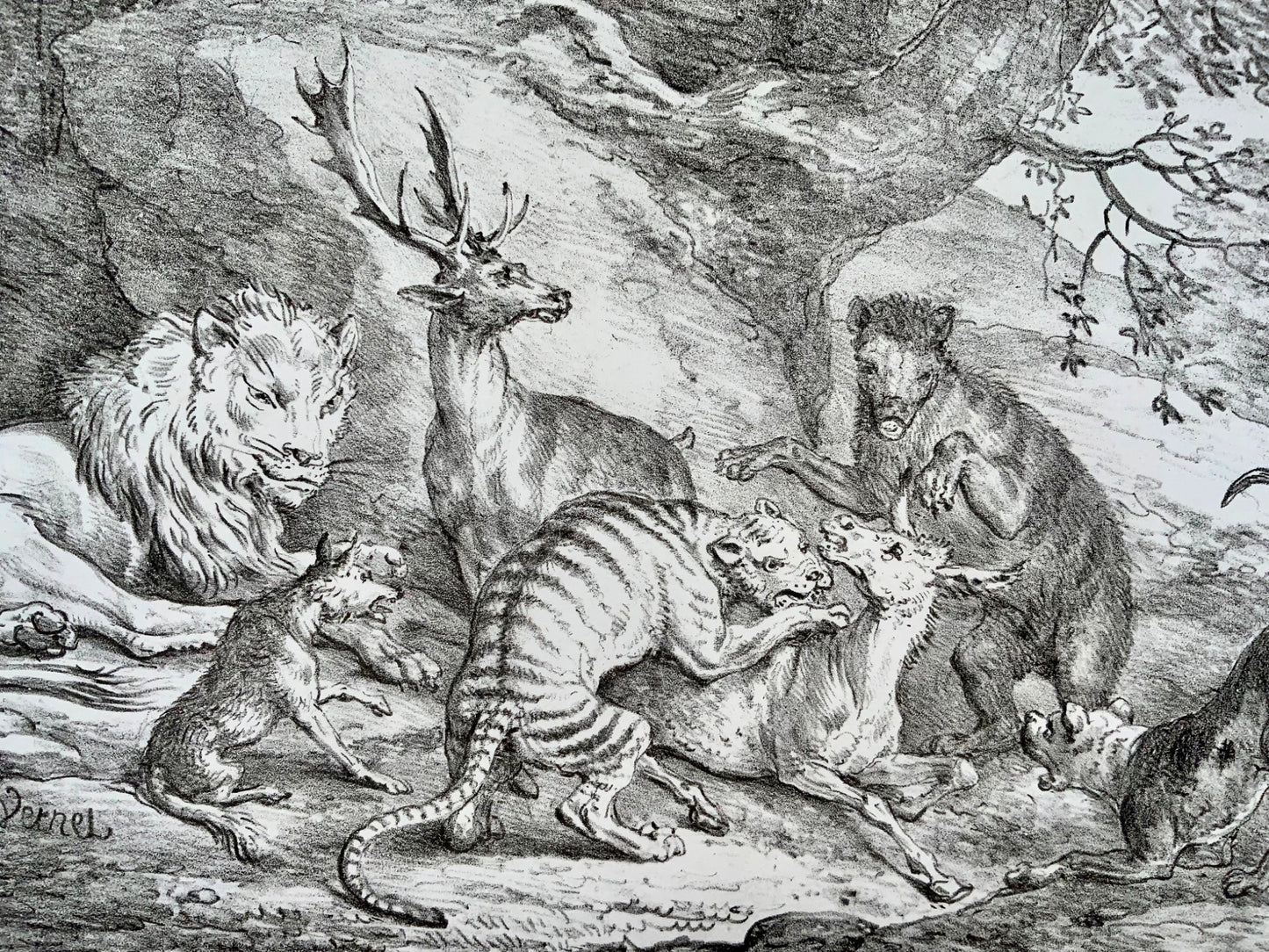 1818 ‘Incunabula of Lithography’ Carle Vernet, G. Engelmann, Bestiary, Lion