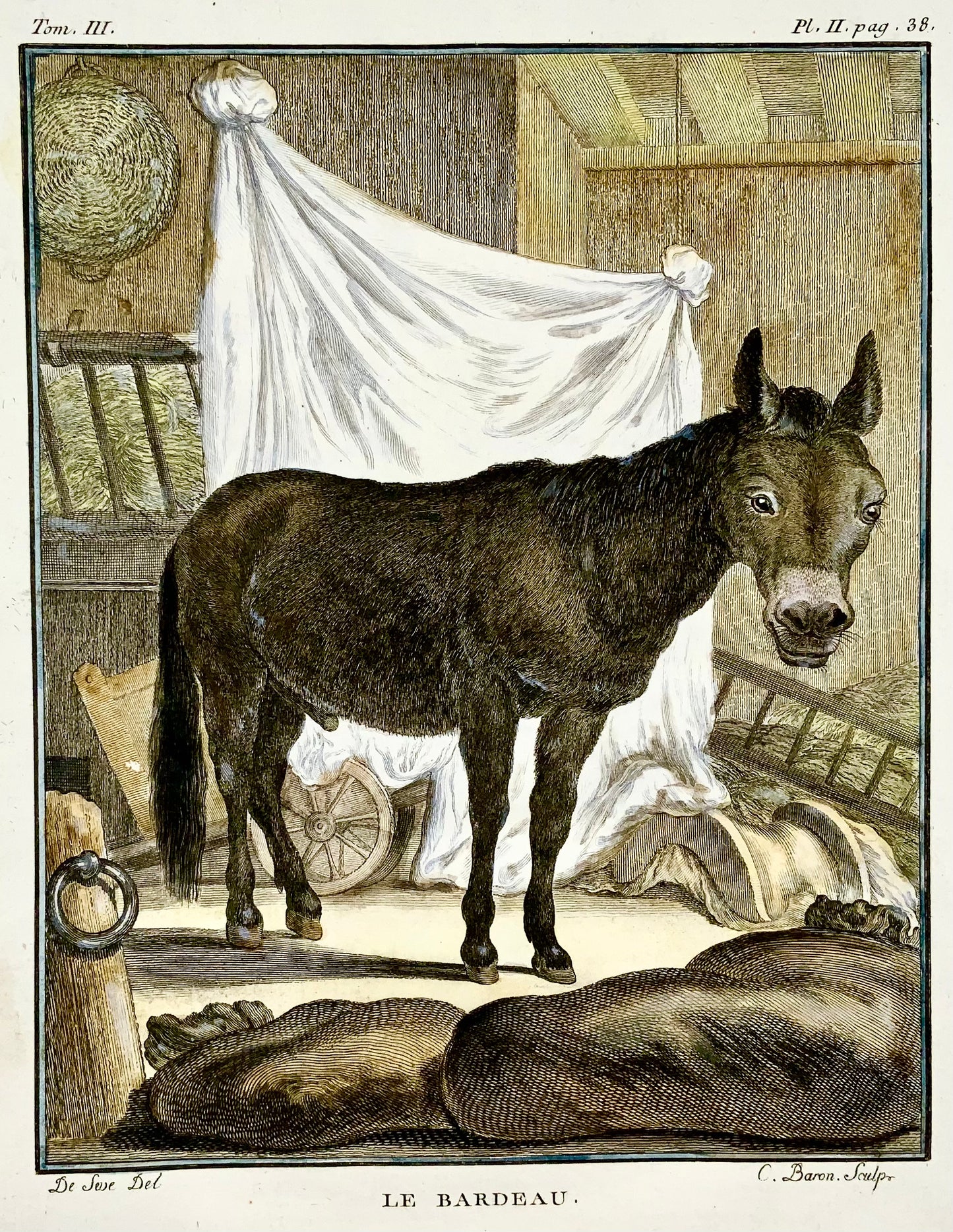 1766 De Seve; Bardeau Donkey large QUARTO edition hand colored engraving - Mammal