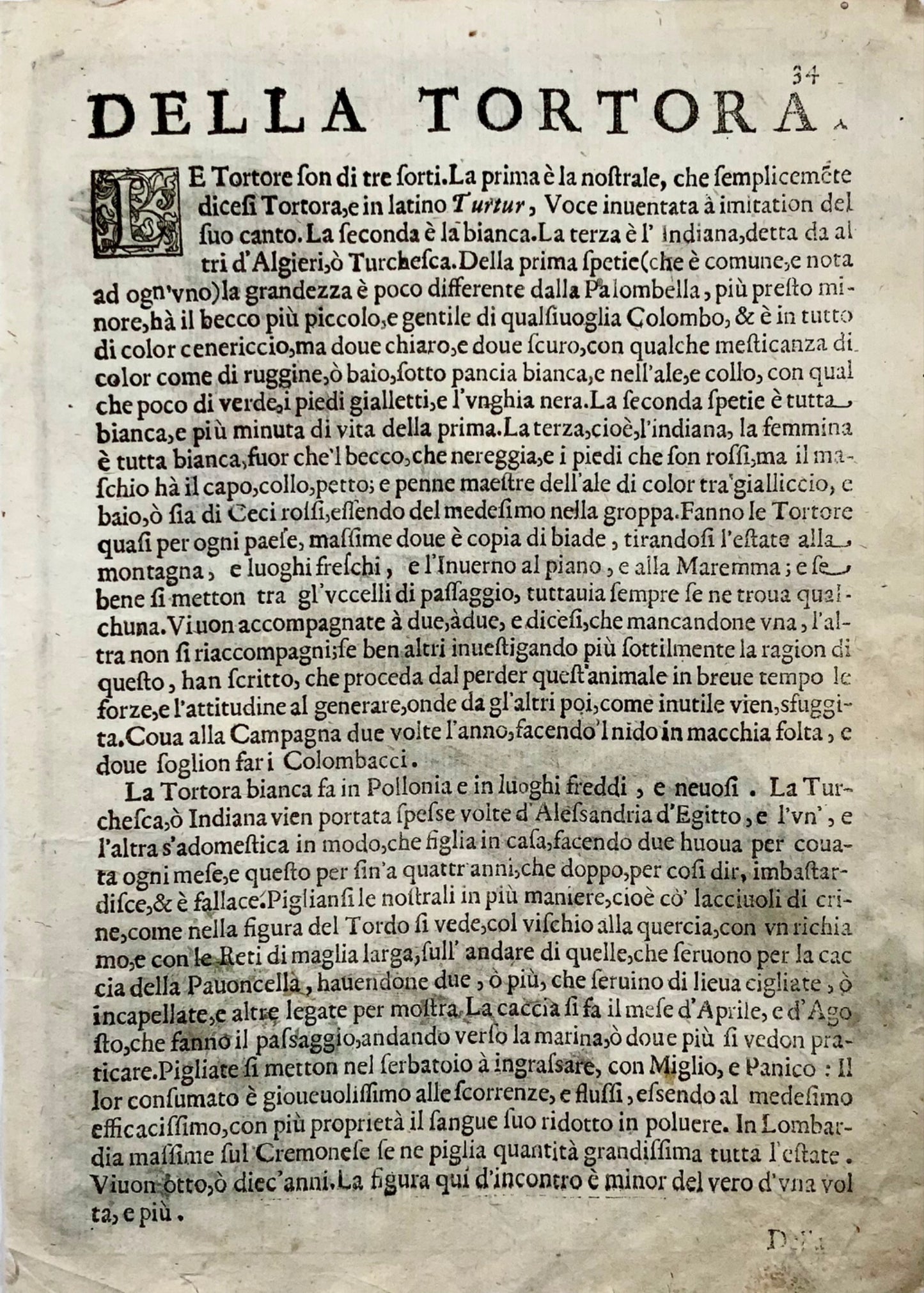 1622 Jay, Ornithologie, Antonio Tempesta ; Le P. Villamena, Maître Gravure
