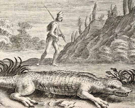 1618 Crocodile, "un jeune timide", Crispin van de Passe II, emblème, reptile