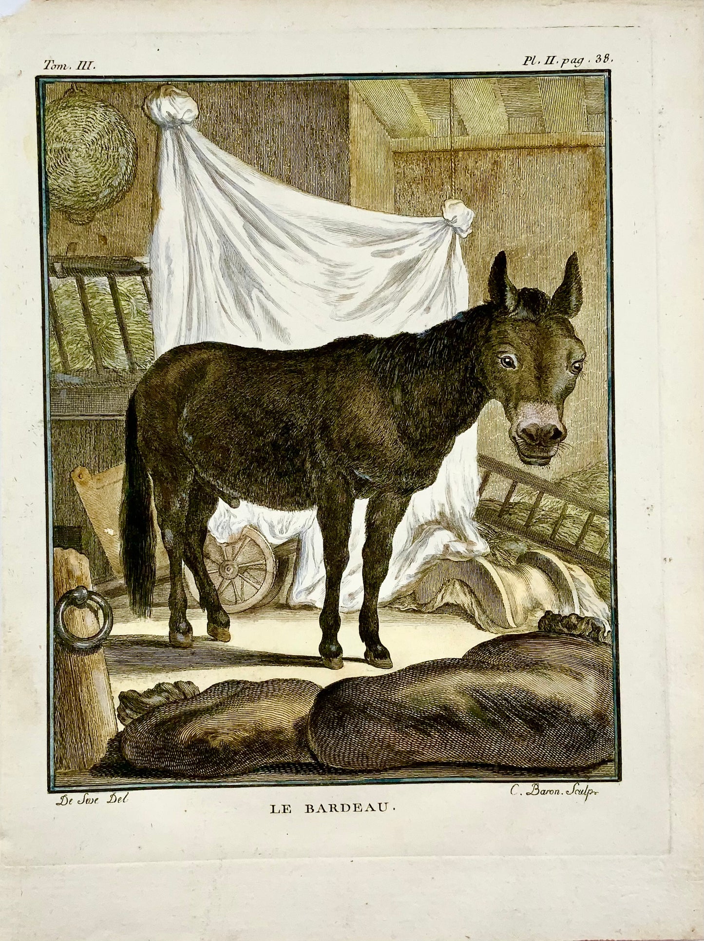 1766 De Sève; Âne Bardeau grande édition QUARTO gravure coloriée à la main - Mammifère