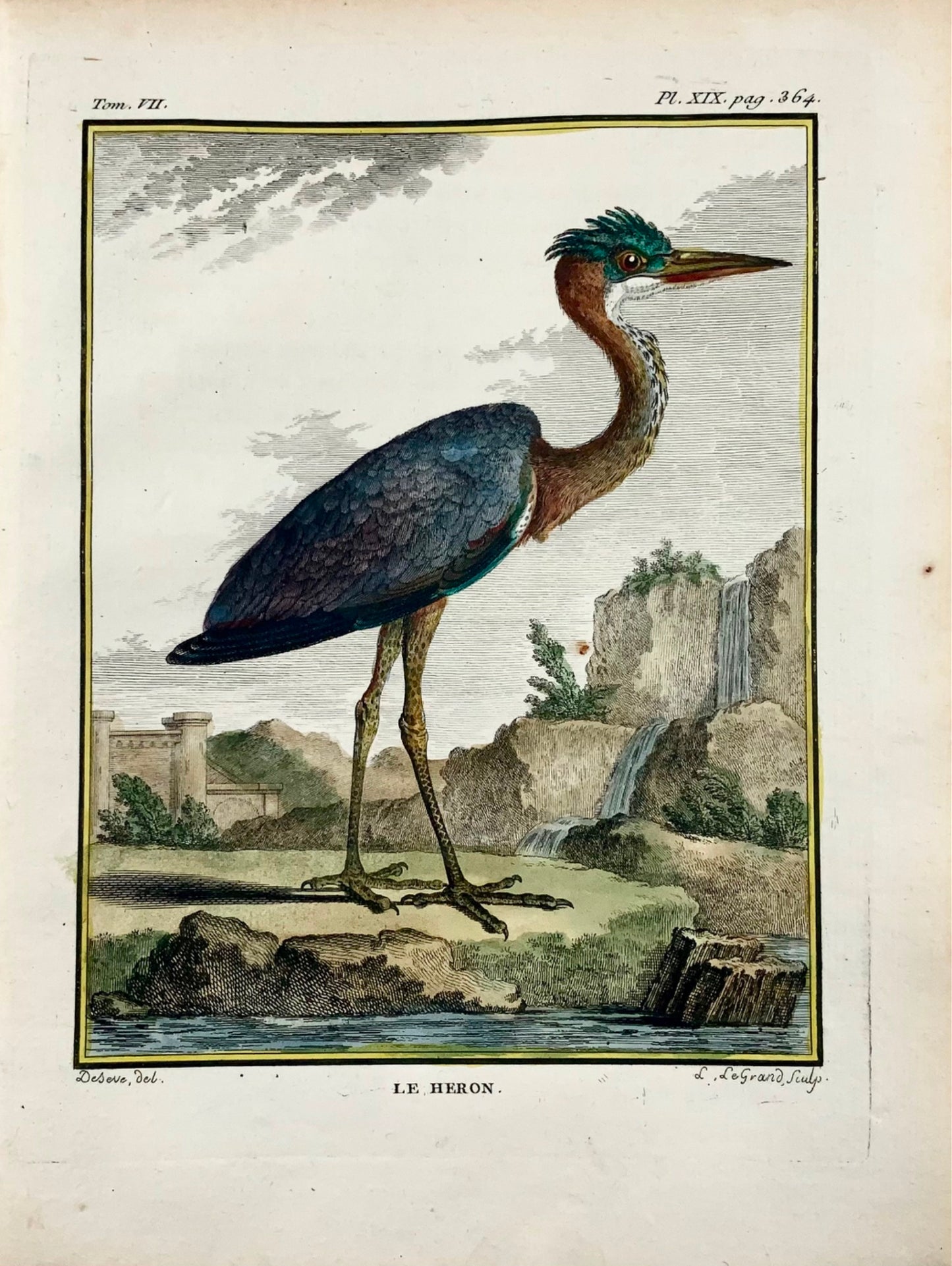 1779 Le Grand d'après de Sève, Héron, ornithologie, grande édition in-4, gravure