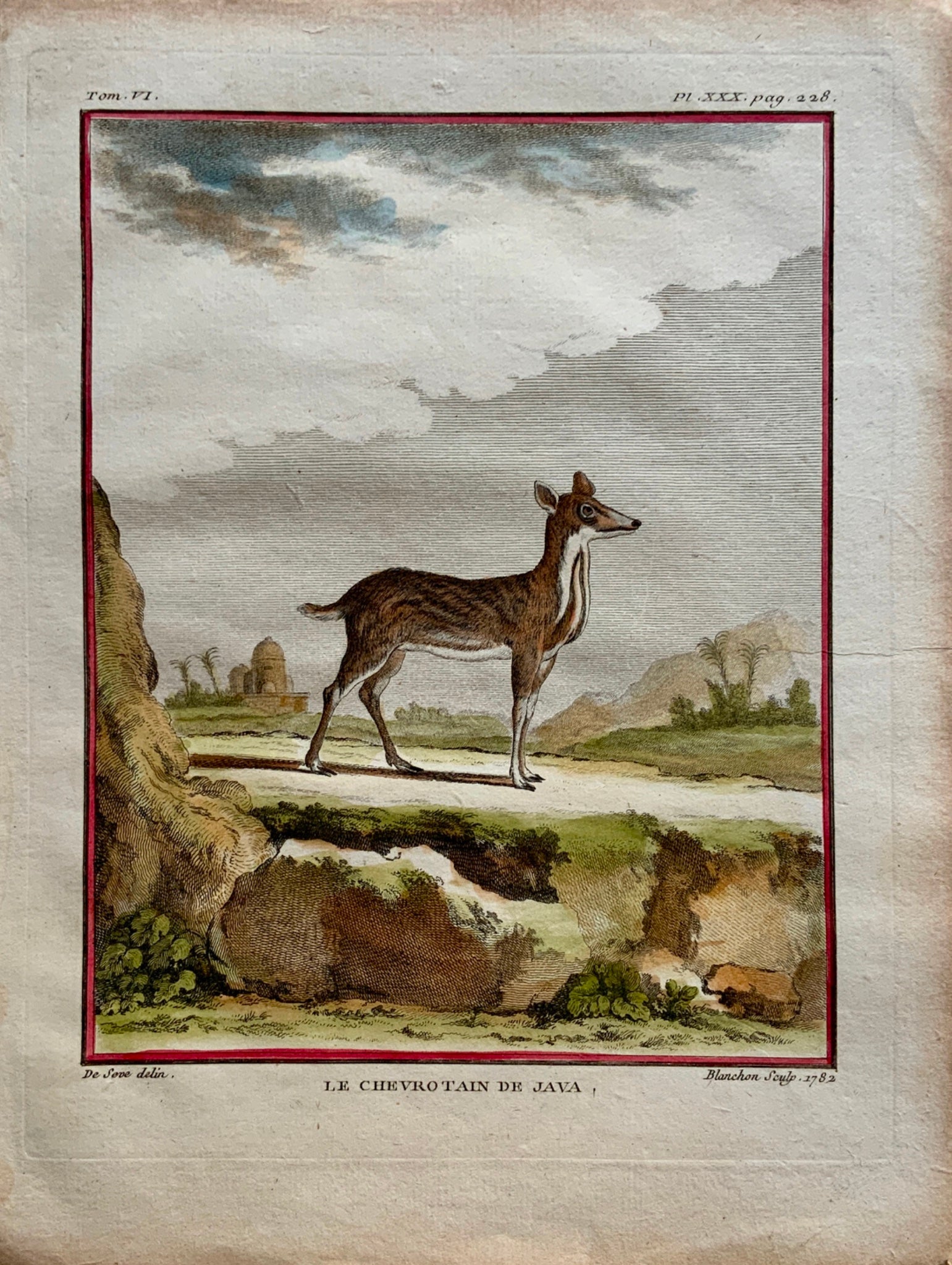 1779 Baron; J. de Seve - Java MOUSE DEER - Mammal - 4to engraving