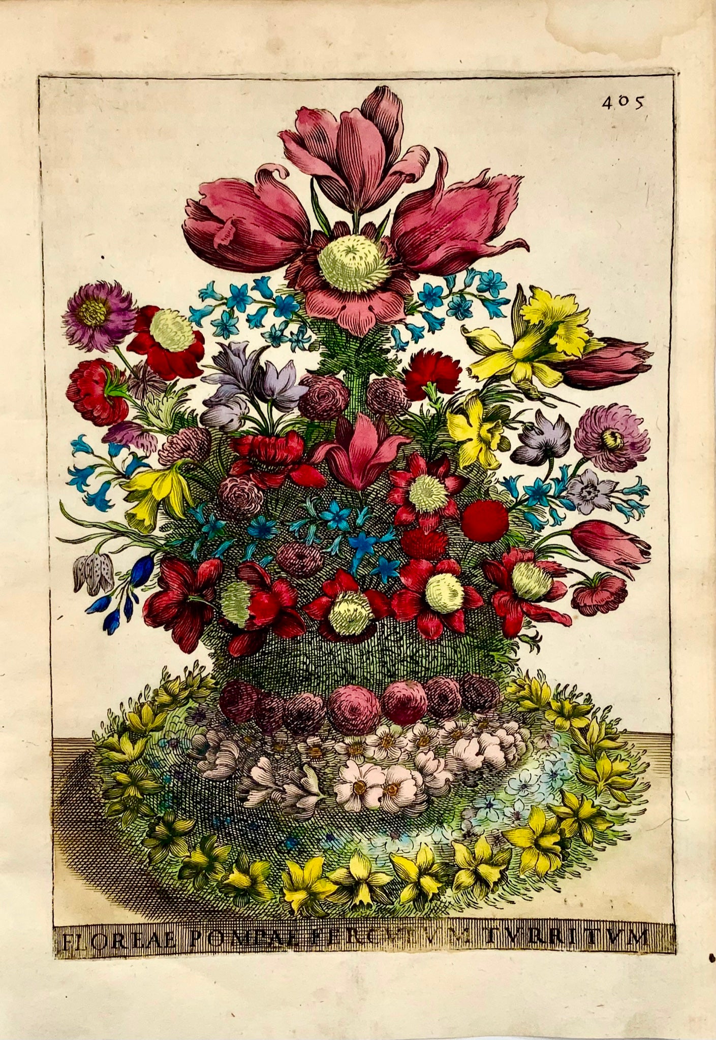 1638 Go Ferrari (b1584), Bouquet Floral, gravure in-quarto couleur main, botanique