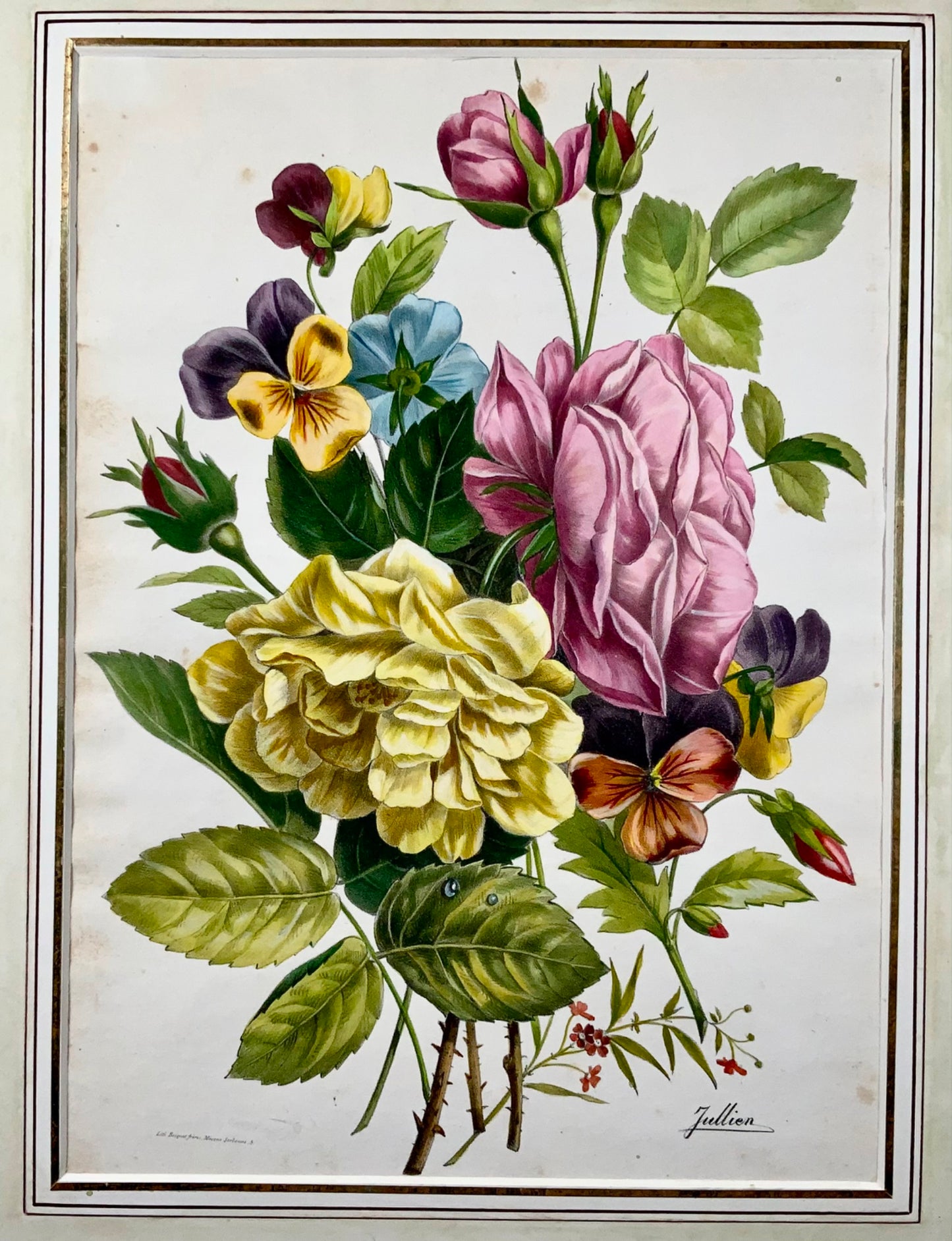 1840c Roses &amp; Pensées, Jullien, Bequet, grande lithographie en pierre colorée à la main, botanique