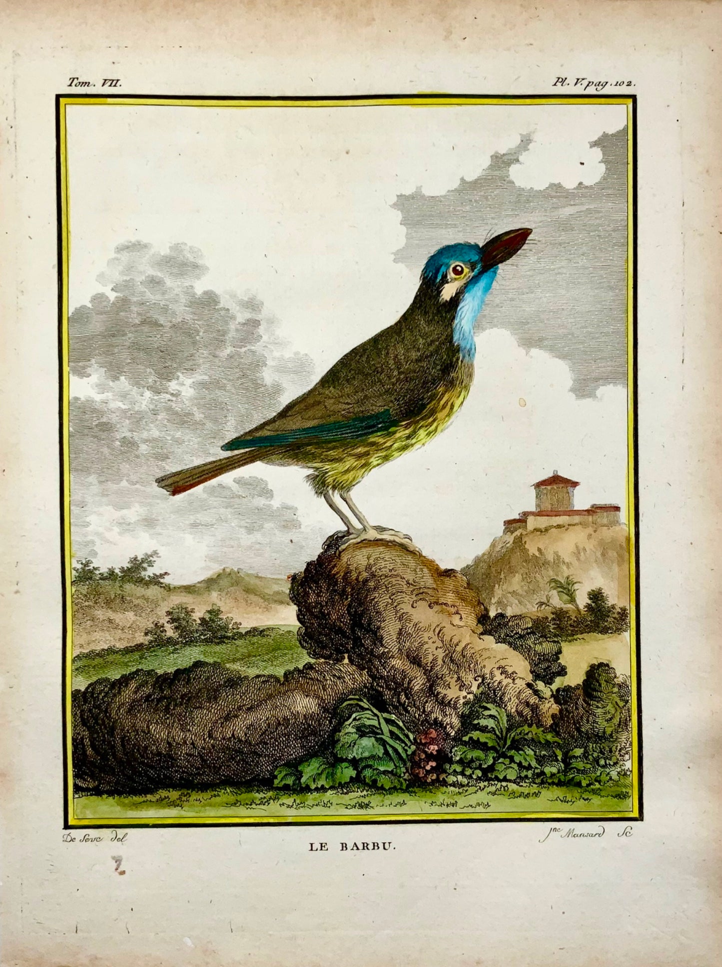 1779 de Sève, Barbet, ornithologie, grande édition in-4, gravure coloriée à la main