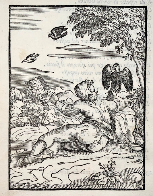 1570 Jour. M. Verdizzotti (b1525) Épervier et pigeon, feuille gravée sur bois, fables