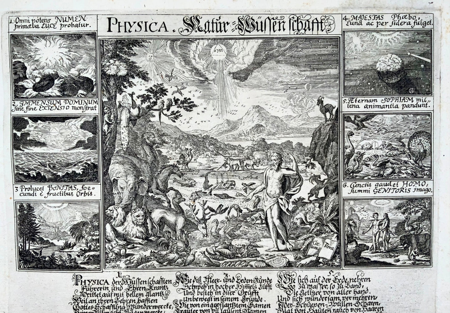 1697 Broadside, 'Physica' Sciences naturelles, évolution, Zurich, Suisse, science