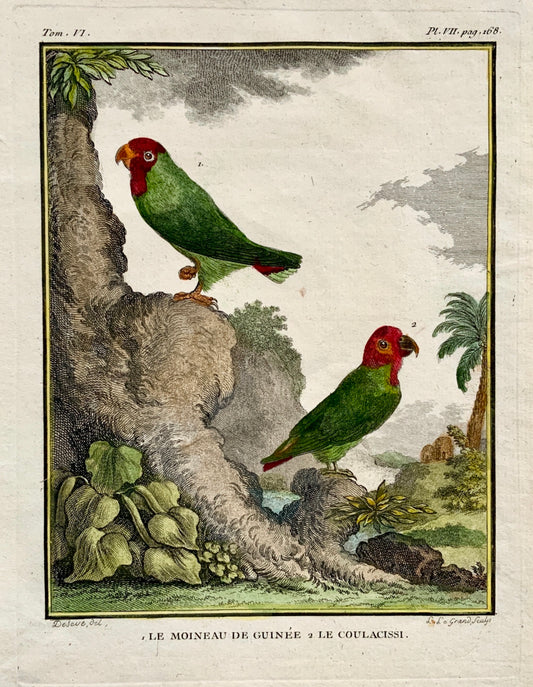 1779 Le Grand; de Seve - 1. Le Moineau de Guinee 2. Le Coulacissi 4to engraving