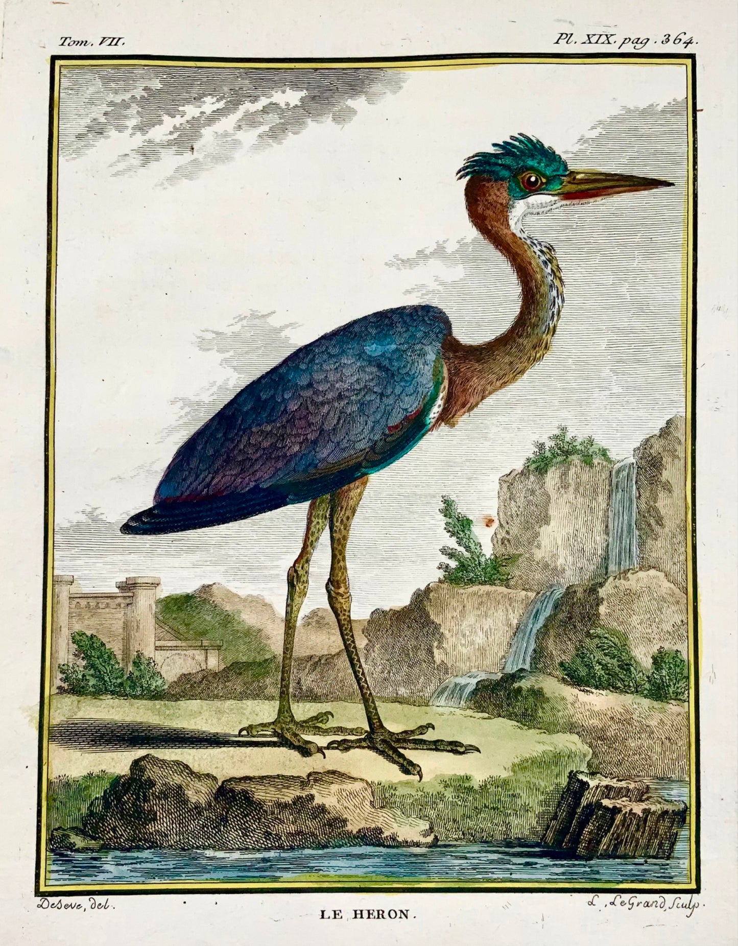 1779 Le Grand after de Seve, Heron, ornithology, large 4to edition, engraving