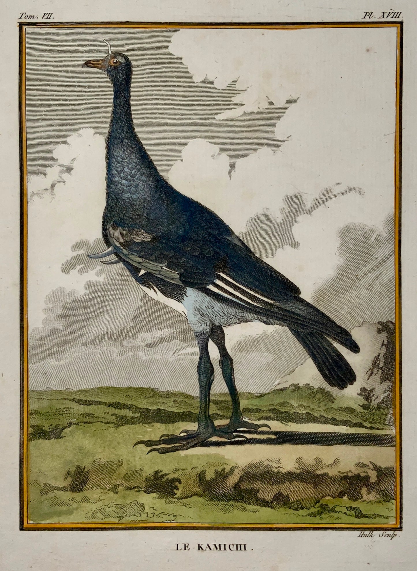 1779 de Seve - SCREAMER - Ornithology - 4to Large Edn engraving