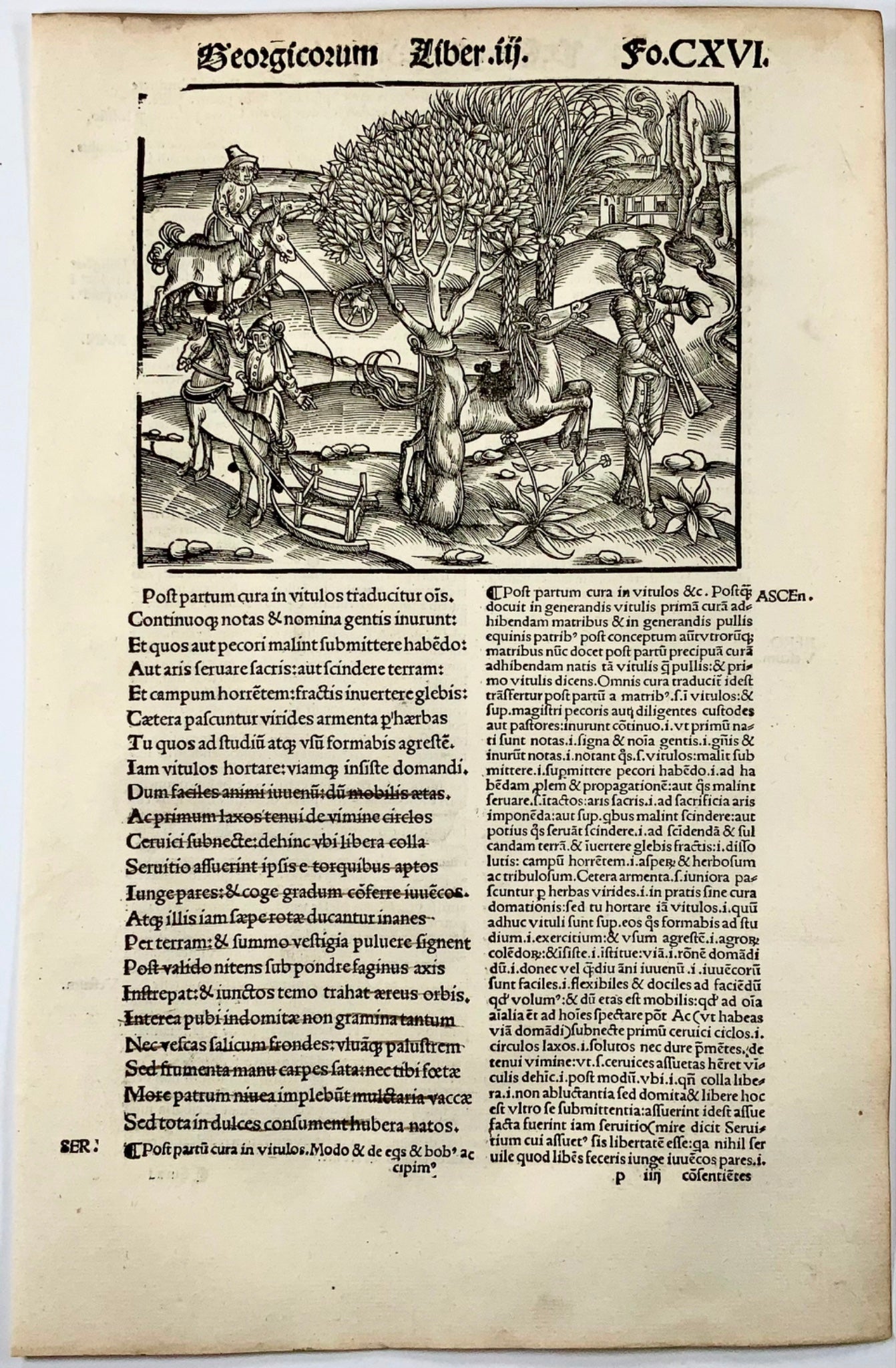 1502 Scène arcadienne, trompette, gravure sur bois incunable, Géorgiques de Virgile, agriculture