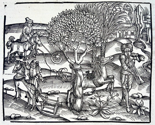 1502 Scène arcadienne, trompette, gravure sur bois incunable, Géorgiques de Virgile, agriculture