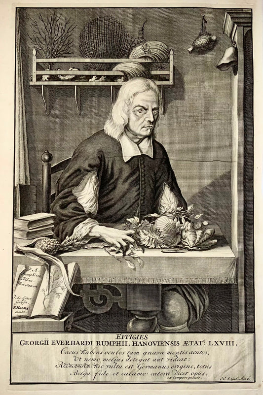 1741 Portrait of Georg Eberhard Rumphius, naturalist, botanist, large folio, wunderkammer,