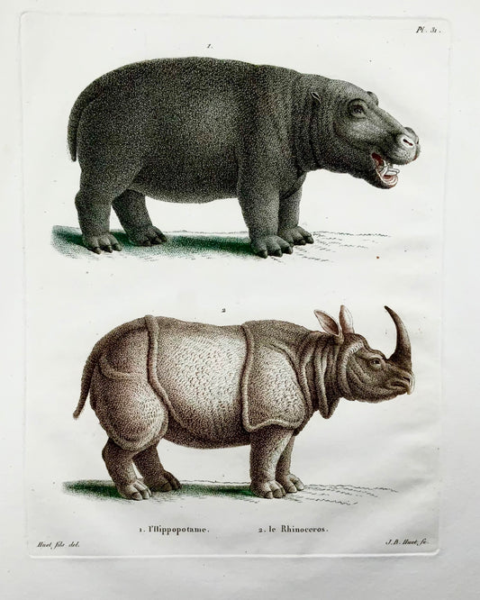 1808 Rhinocéros, Hippopotame, JB Huet [b1745] ; gravure en pointillés à la main, mammifères
