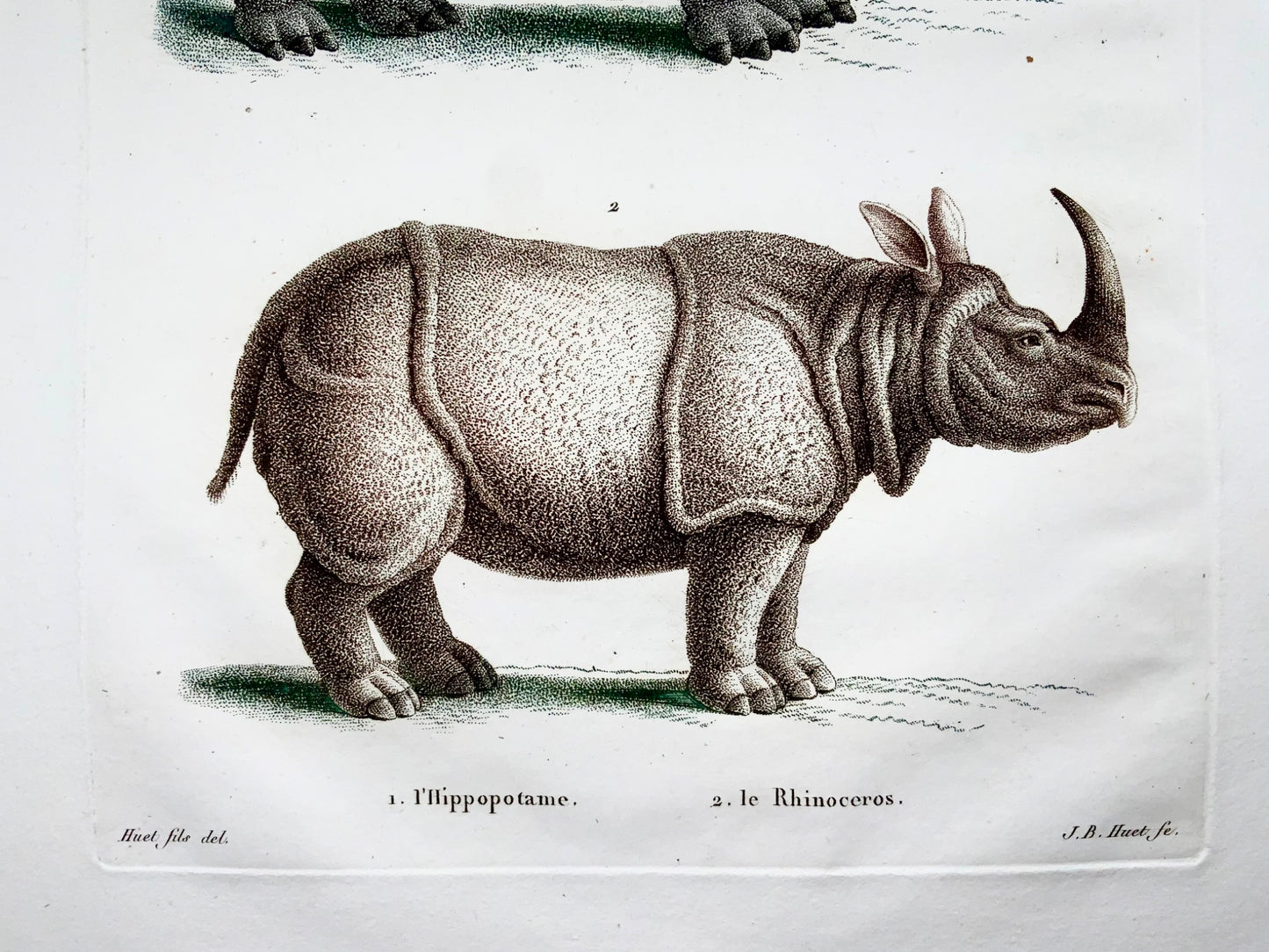 1808 Rhinoceros, Hippopotamus, J. B. Huet [b1745]; hand col stipple engraving, mammals