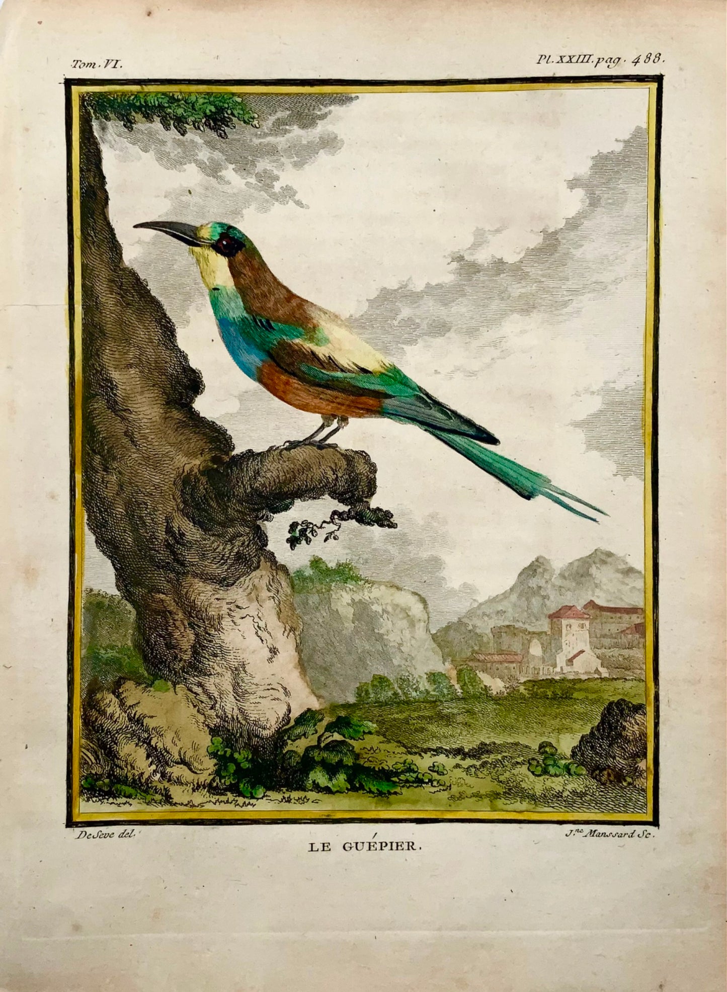 1771 Bee-Eater, De Seve, ornithologie, édition grand in-4to, gravure 