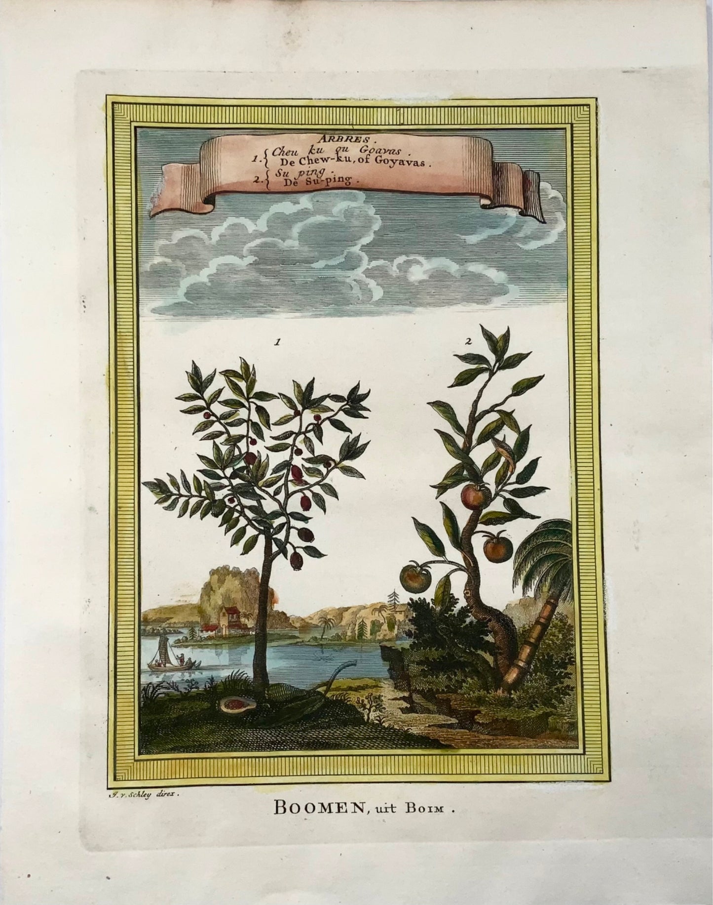 1759 Arbres, Goyave, Suping, Schley, botanique, gravure