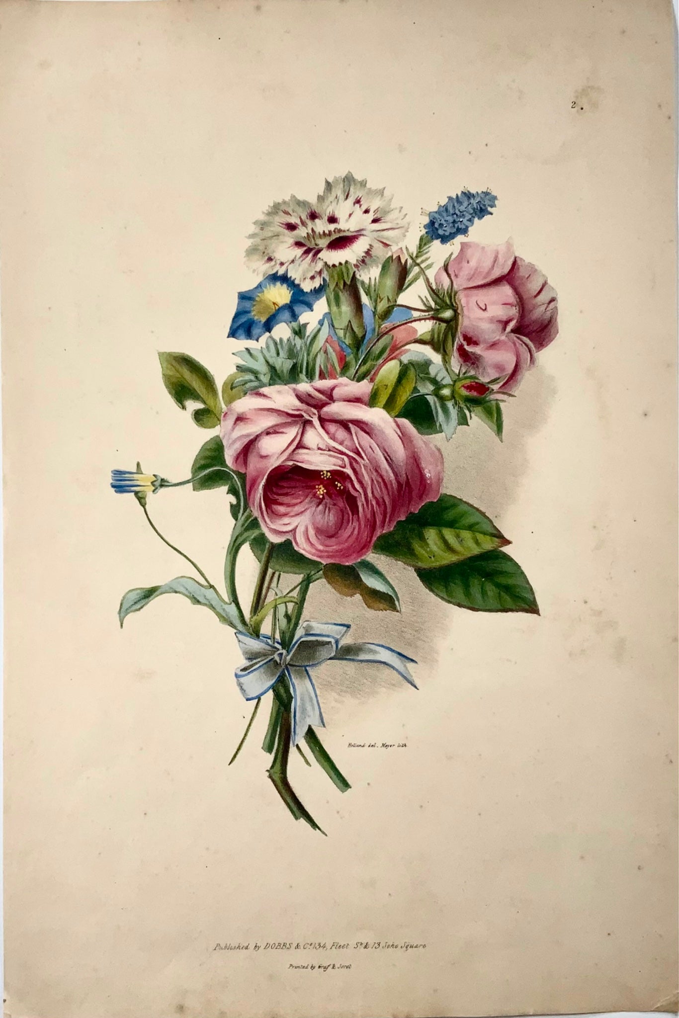 1830 Bouquet of flowers, botany, after Holland, 35.5 cm, original hand colour