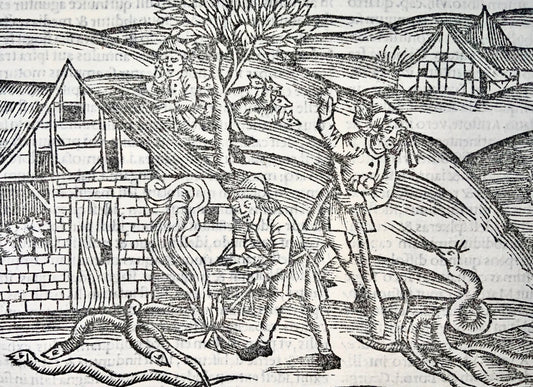 1502 Pestilence in the guise of Snakes, incunable woodcut, Virgil’s Georgics